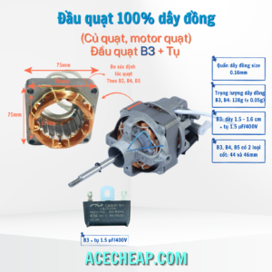 Đầu quạt B3, Motor quạt B3