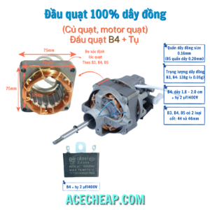 Đầu quạt B4, Motor quạt B4