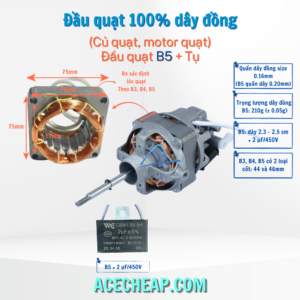 Đầu quạt, Motor quạt B4